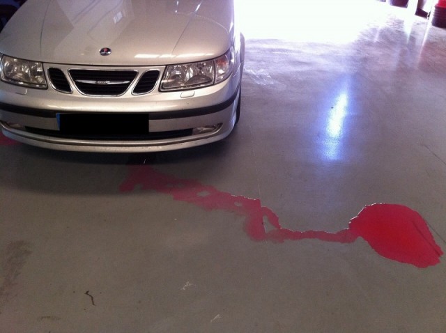 IMG-20150729-WA0005 [190624].jpg