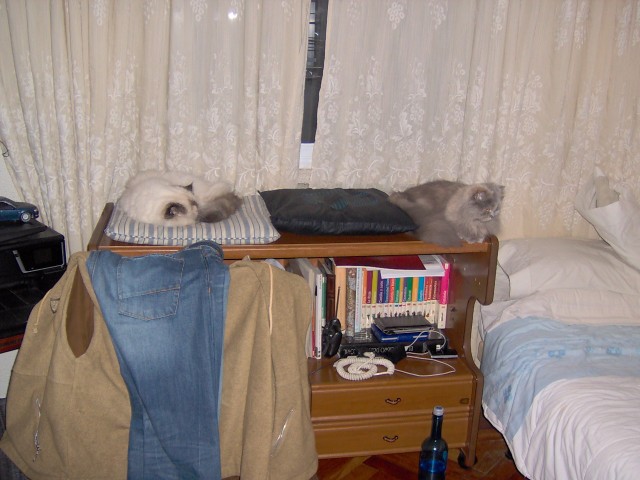 IM000857.JPG