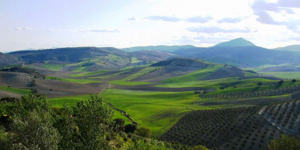 sierra-magina1.jpg