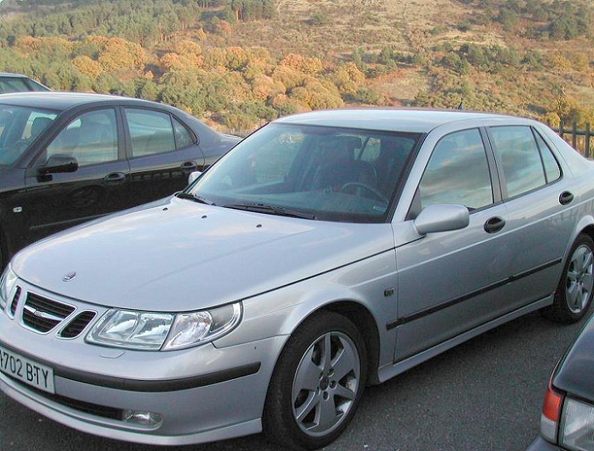 95Copon.JPG