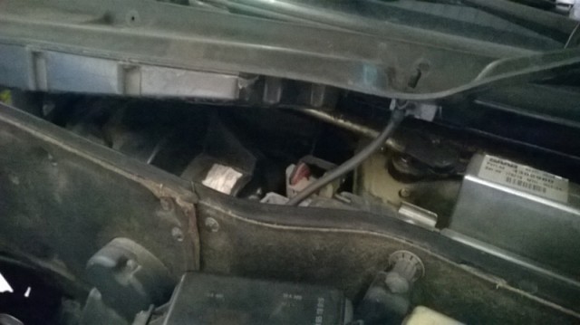 WP_20160518_003c.jpg