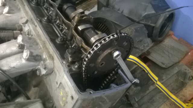WP_20160604_002rc.jpg
