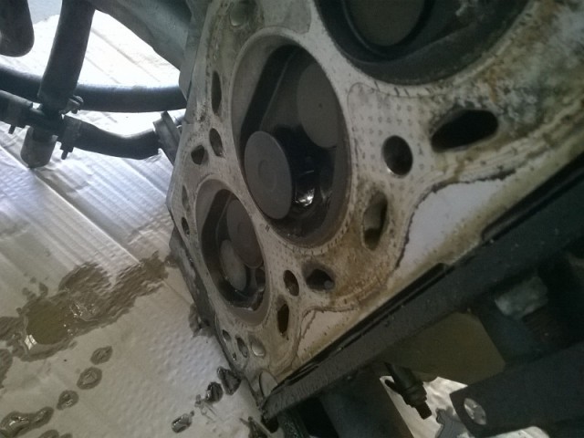 IMG-20160802-WA0002rc.jpg