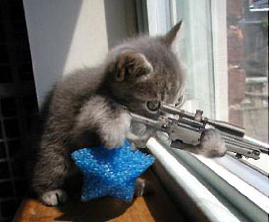 gatillo.jpg