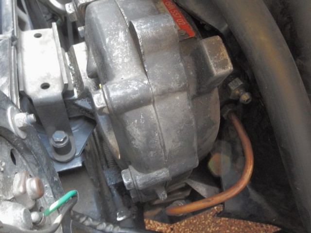 PB010017.JPG