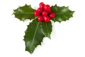 cse_navidad_2016.jpg