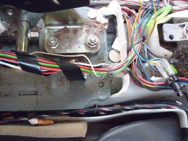 Optimized-CIMG5641.JPG