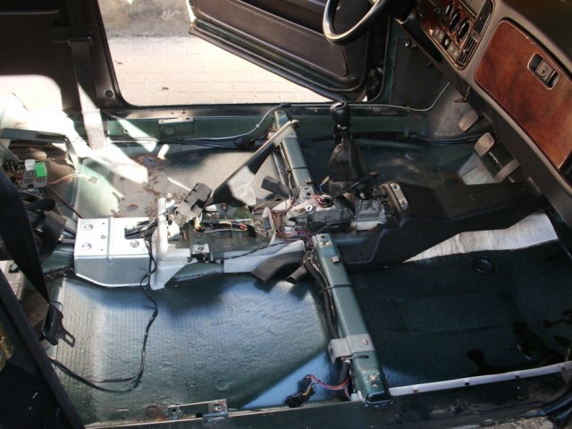 Optimized-CIMG5648.JPG