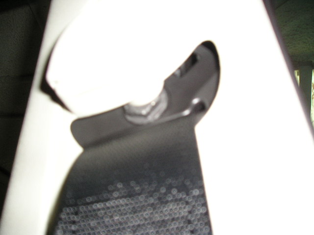 P1010004.JPG