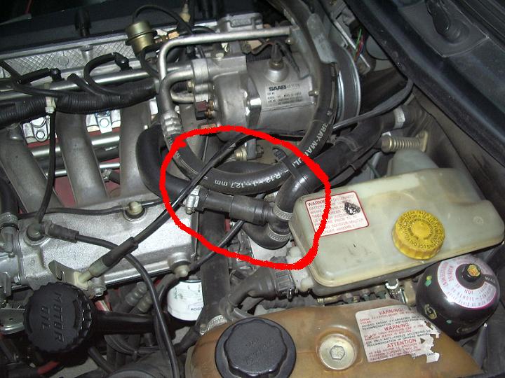 Antes.jpg