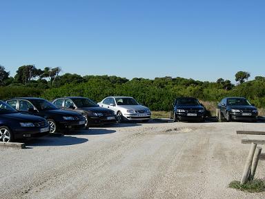 Los &amp;quot;animalitos&amp;quot; en el Parking