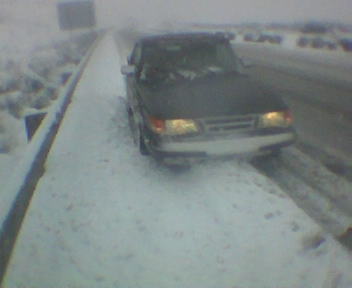 manzanal26-12-2004.jpg
