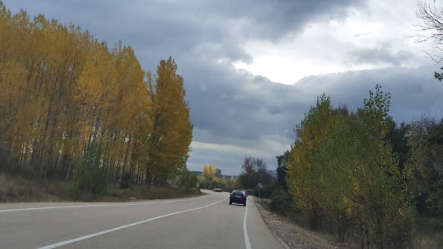 20191019_120214.jpg