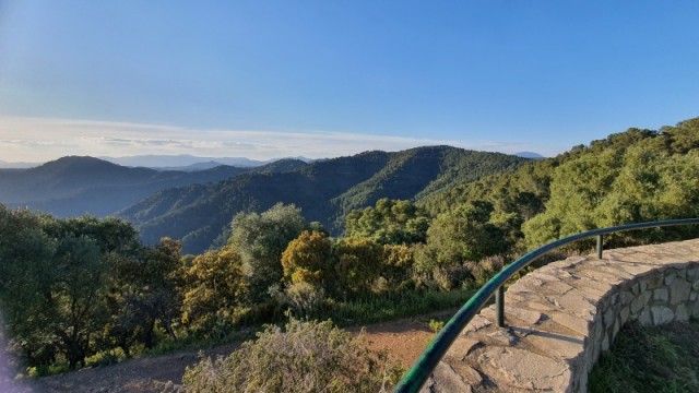 Vistas1.jpg