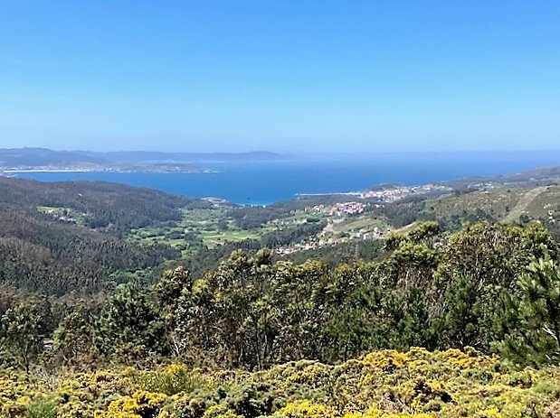 Paisaje.jpg