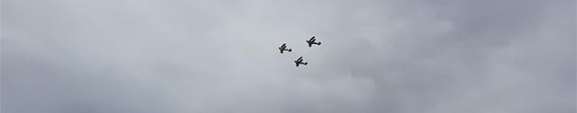 20250907_133126 800.jpg