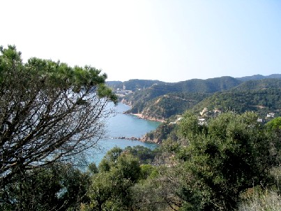 CALA SALIONS.jpg
