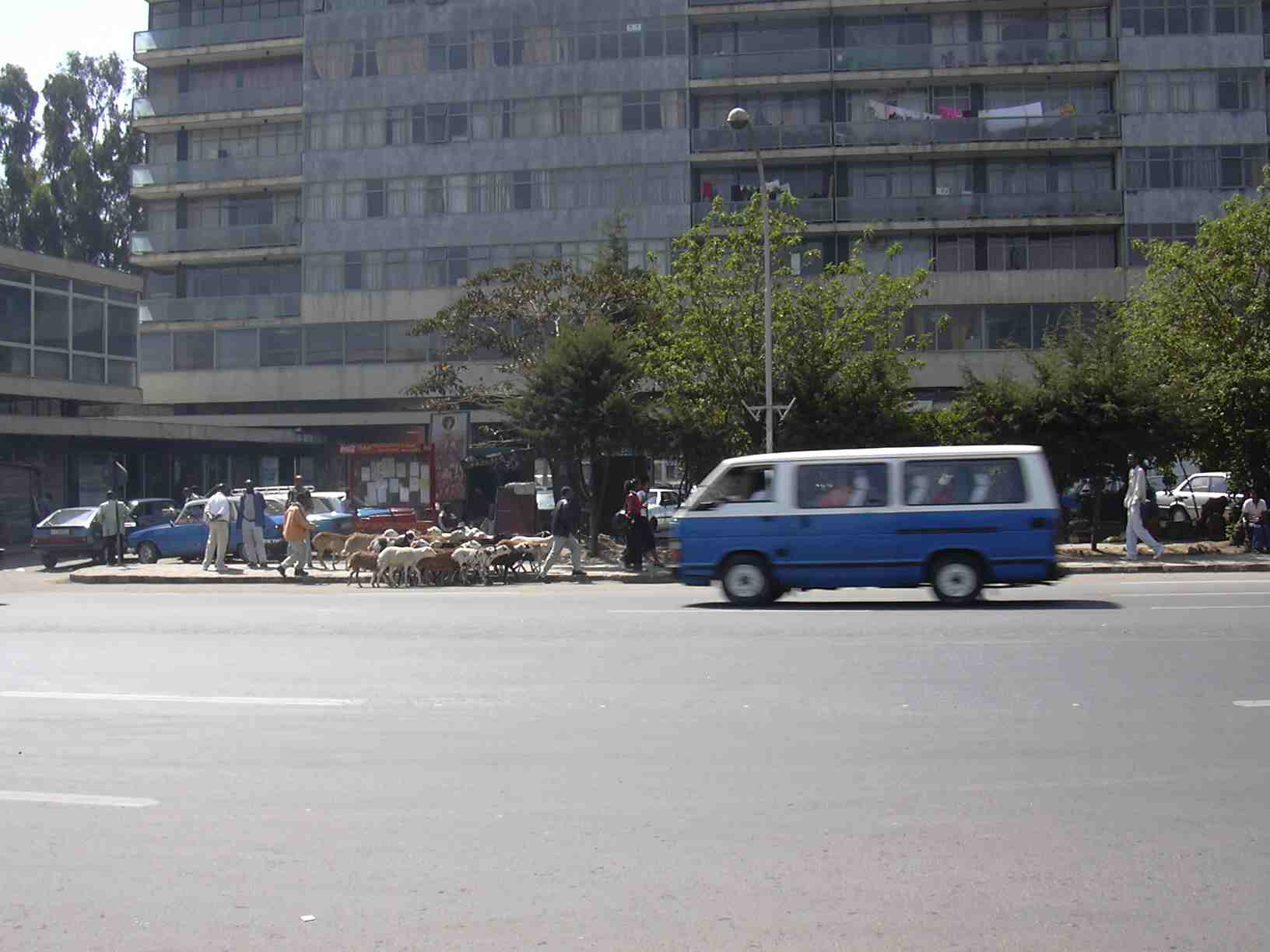 calle principal.jpg