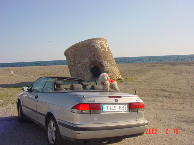 DSC00816.JPG