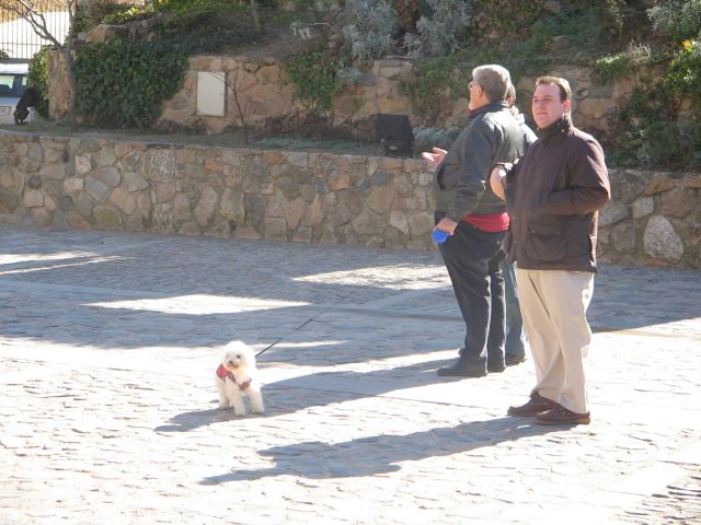 Cabrioloco, Pedrito y Toke