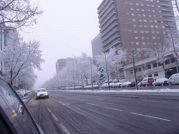 Copia de ppe. vergara.JPG