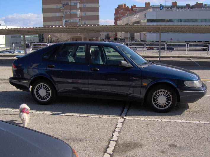 900 de Sierra8850 y Pedrito.jpg