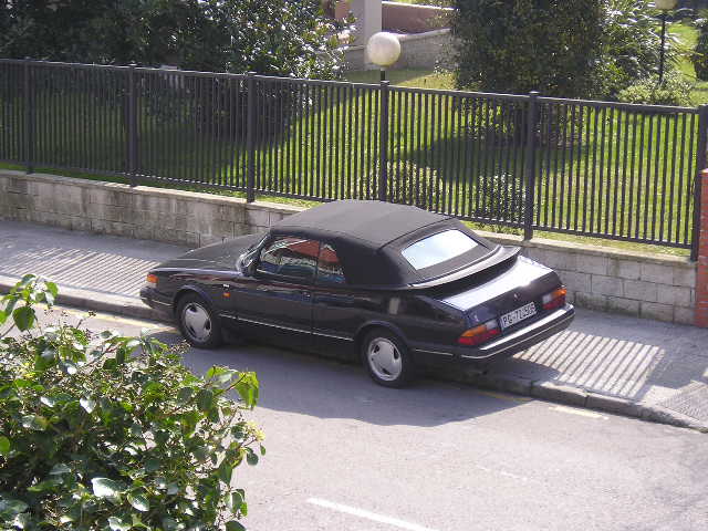 P1010011.JPG