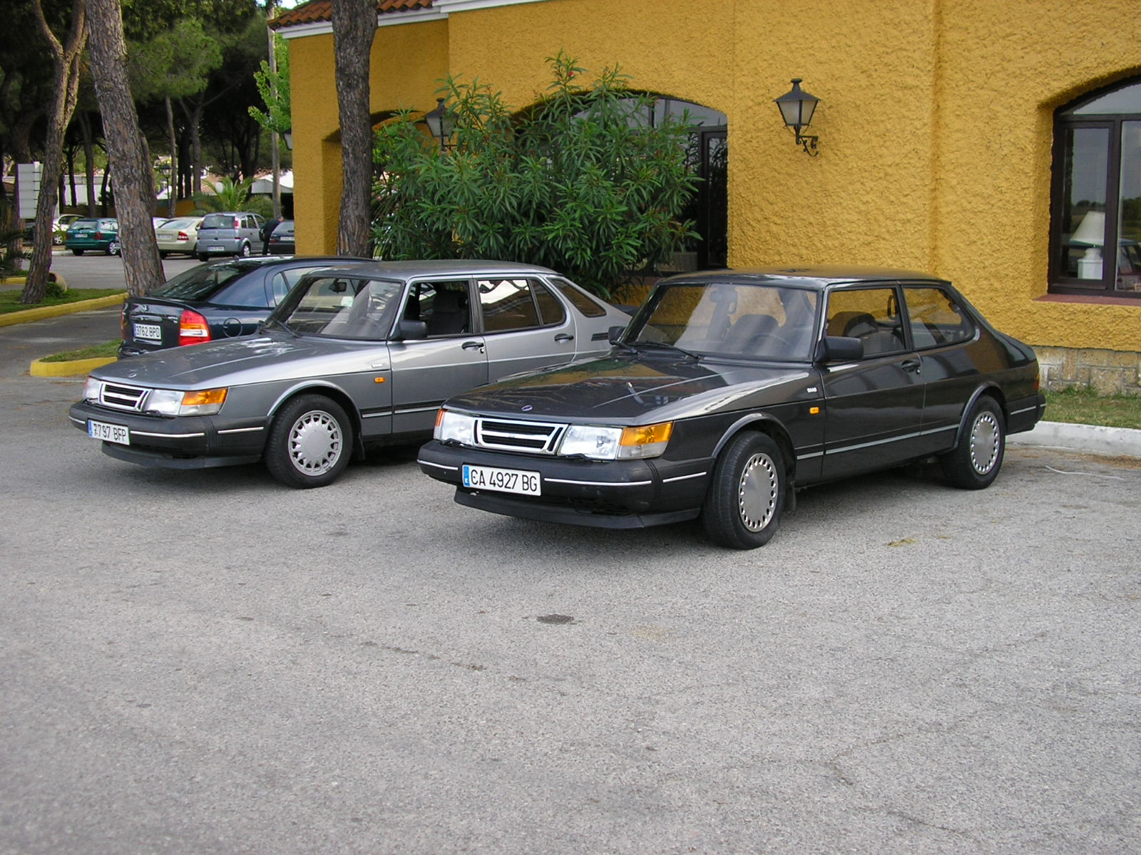 P5120110.JPG