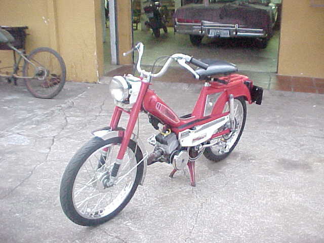 moggymoto.jpg