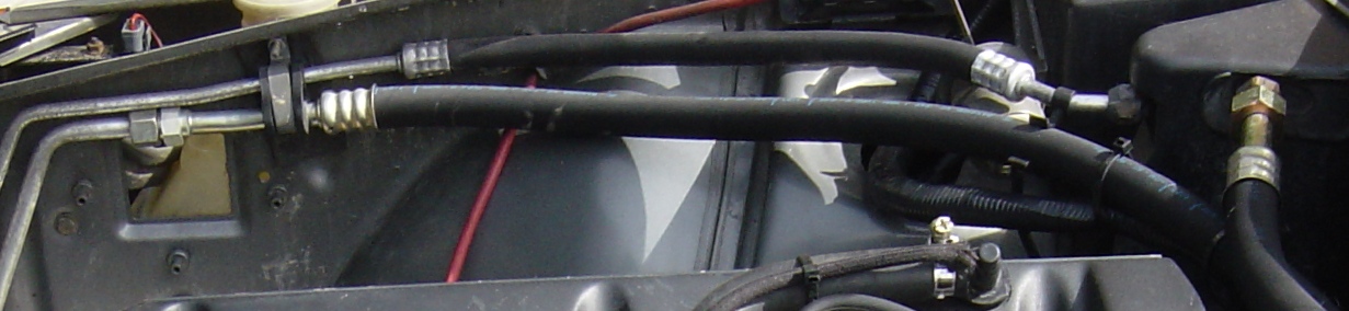 DSC00911 RR.JPG