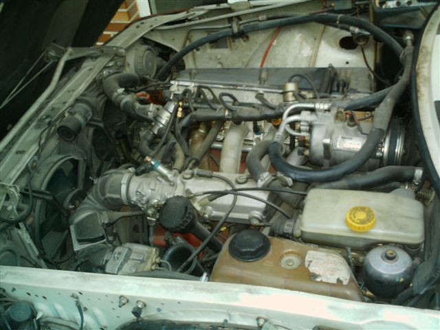 Motor