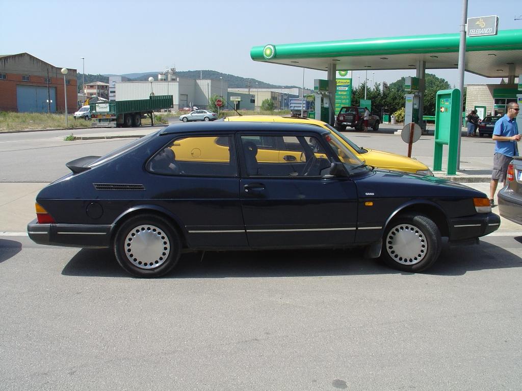 900s_moggy.JPG