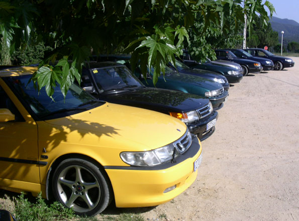 El amarillo canario preside la variada formación de SAABs