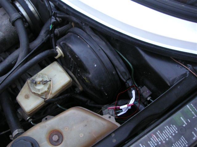 cables pelados.JPG