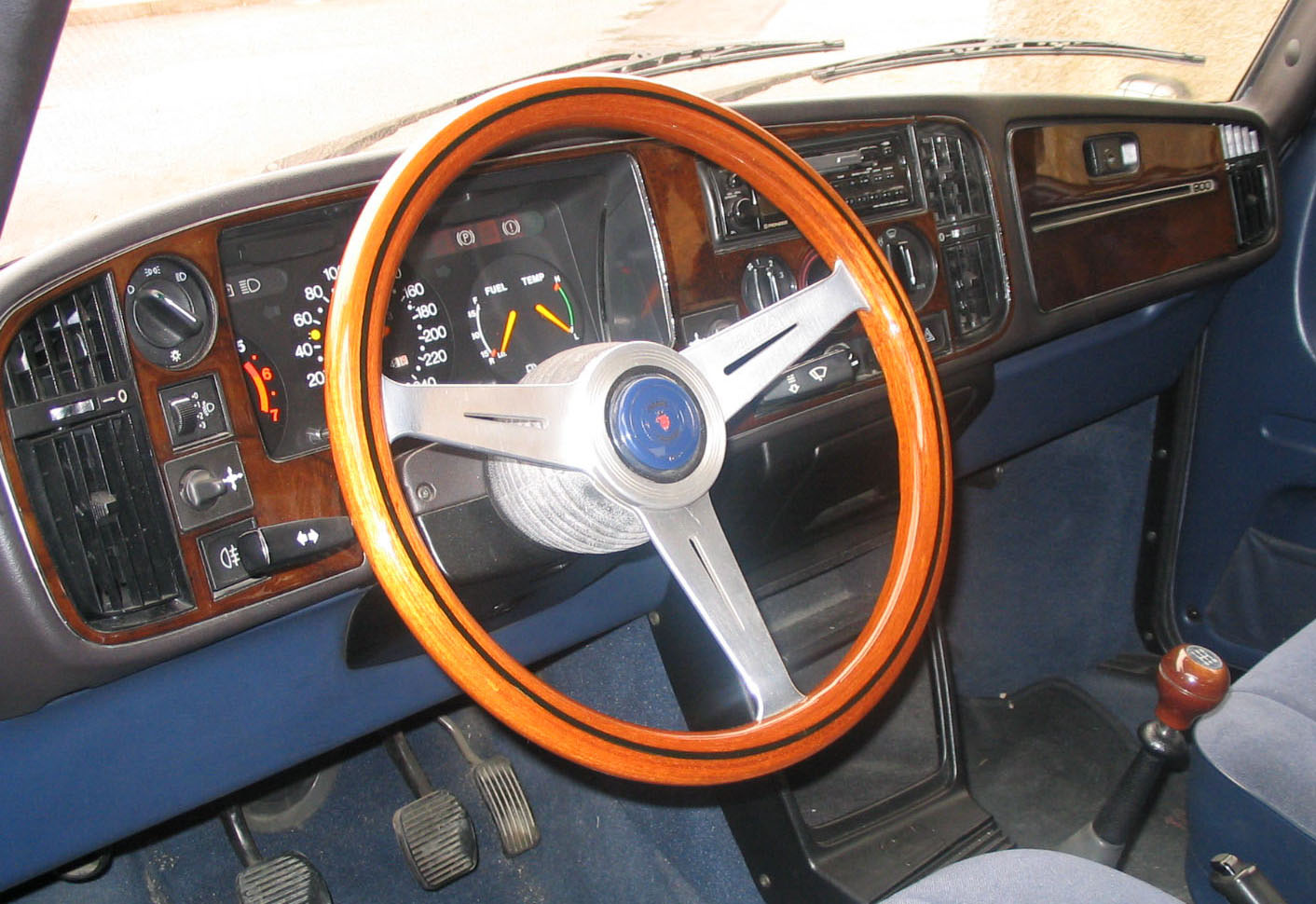 Nardi Moggy.jpg