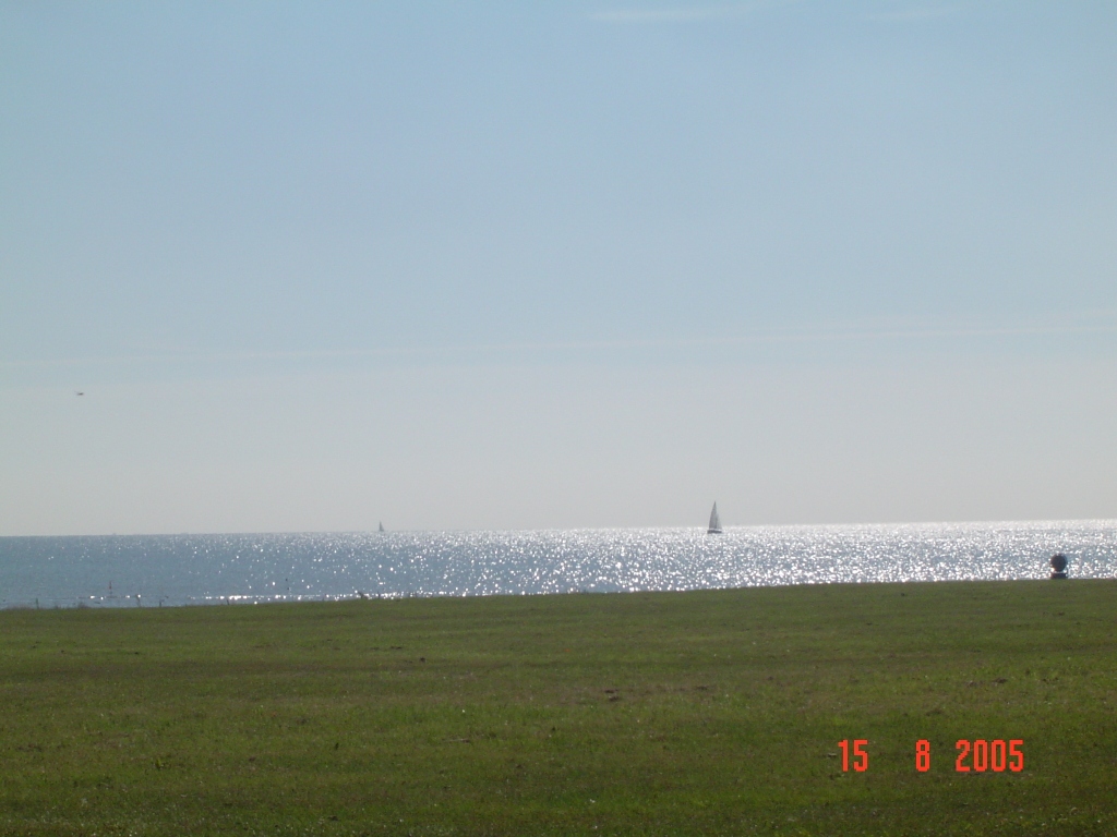 Imagen 204.jpg