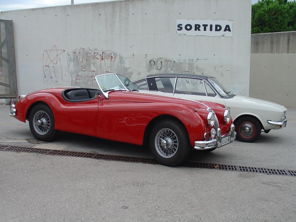 jaguar_01.jpg