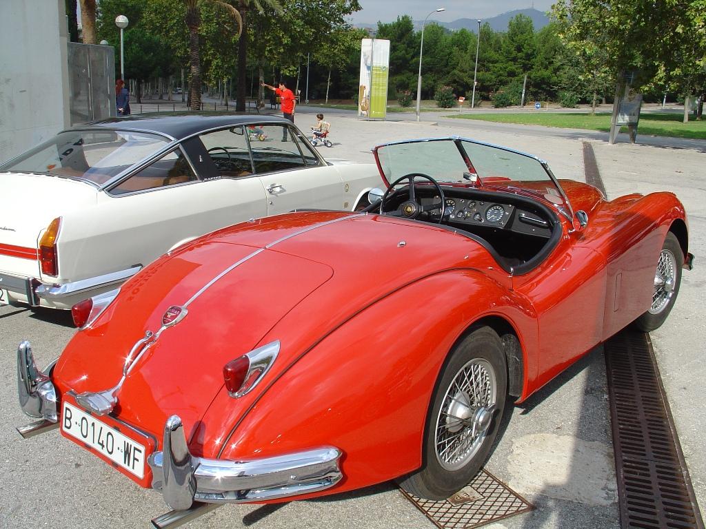 jaguar_02.jpg