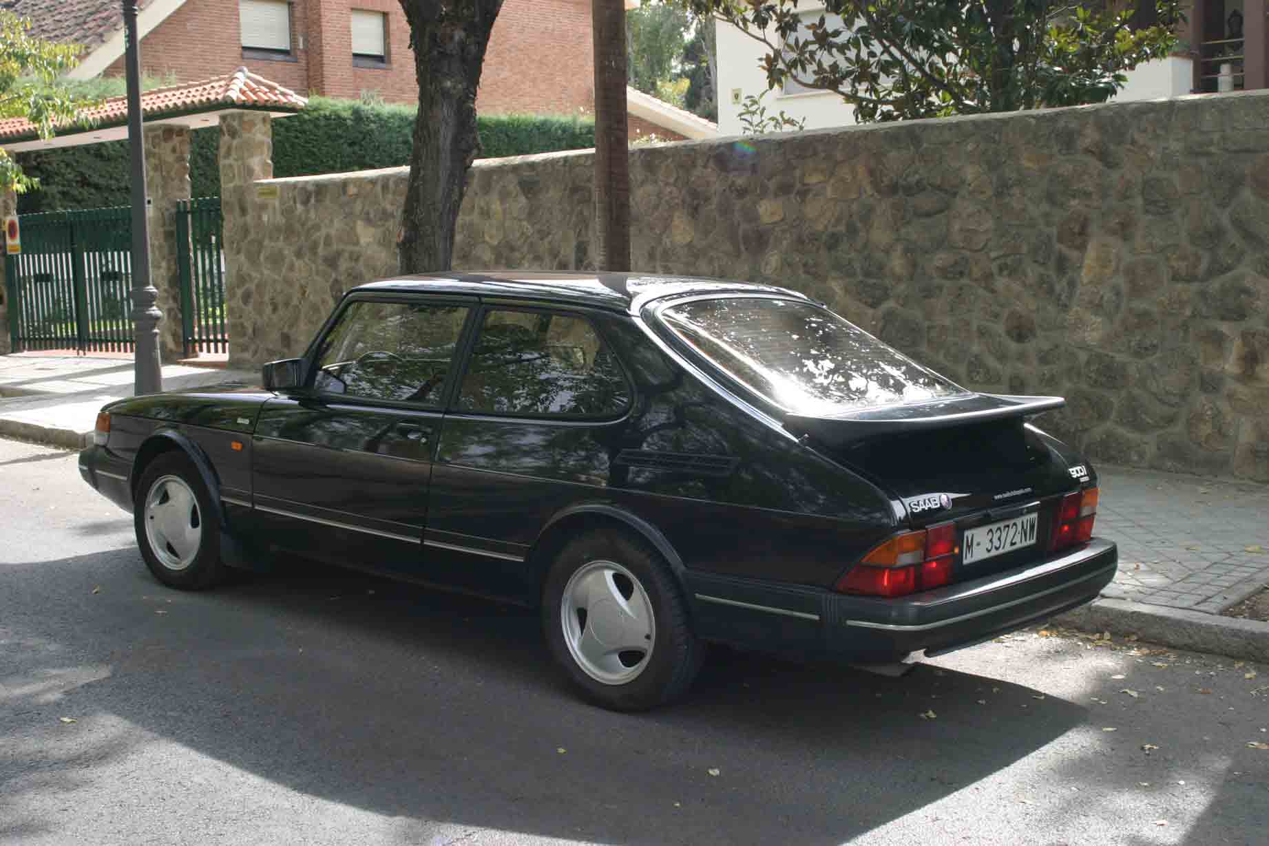 Cola-en-preGM-3.jpg