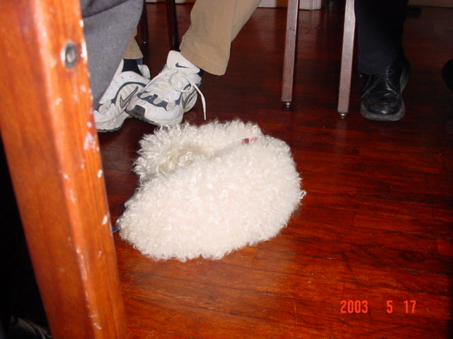 Dsc00517.jpg