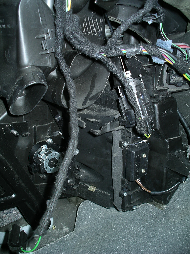 IMGP0176.JPG