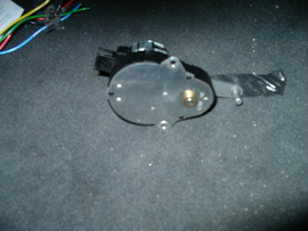 IMGP0175.JPG