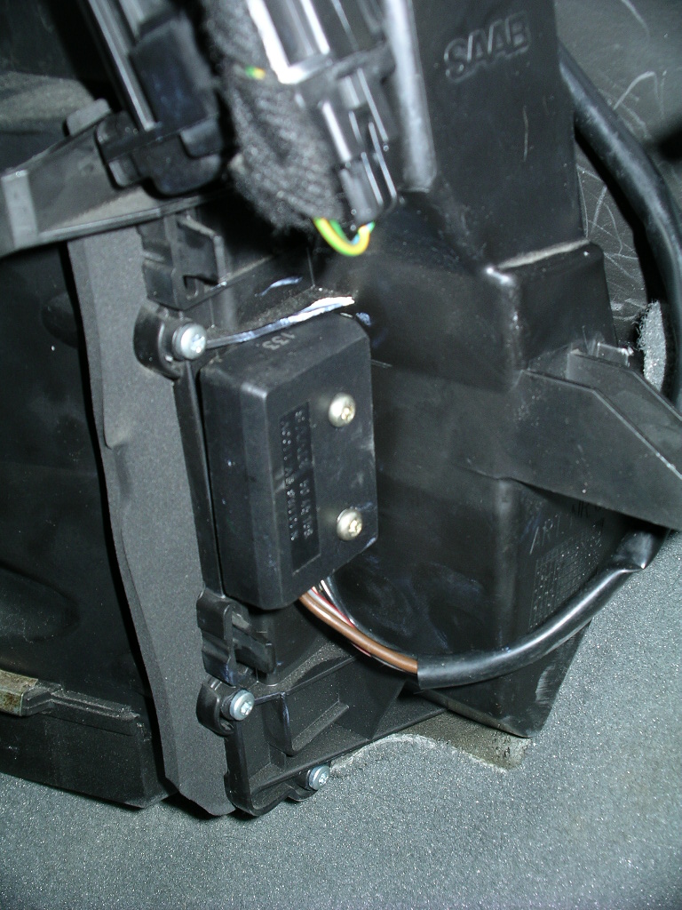 IMGP0178.JPG