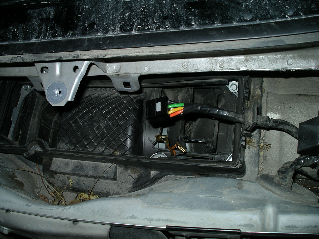 IMGP0190.JPG