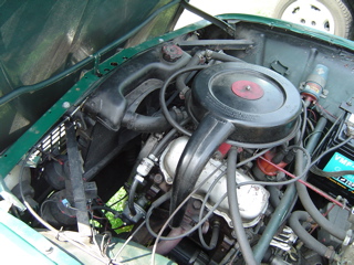 DSC01201.jpg
