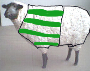 vivarbeti.jpg