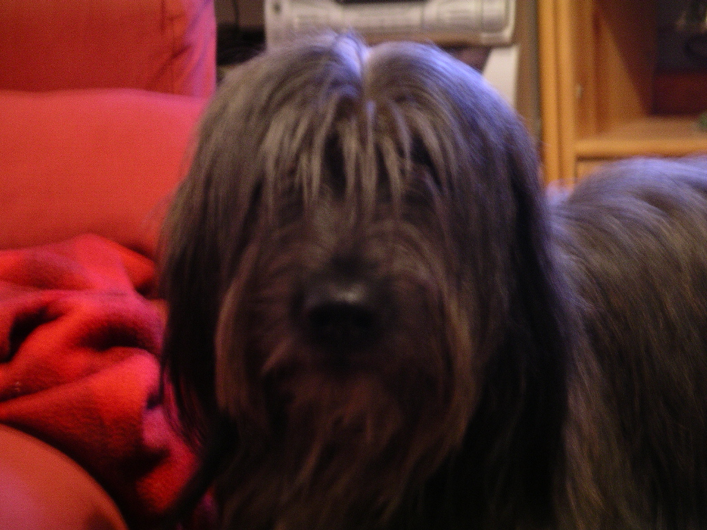 IMGP0114.JPG