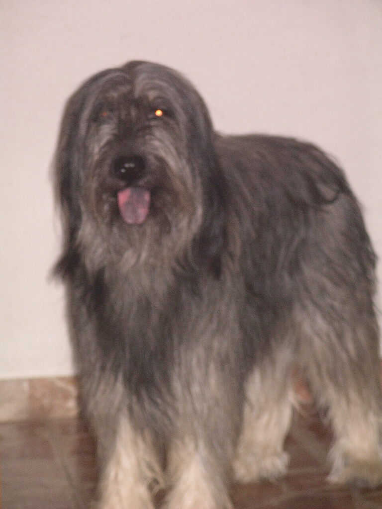 IMGP0108.JPG