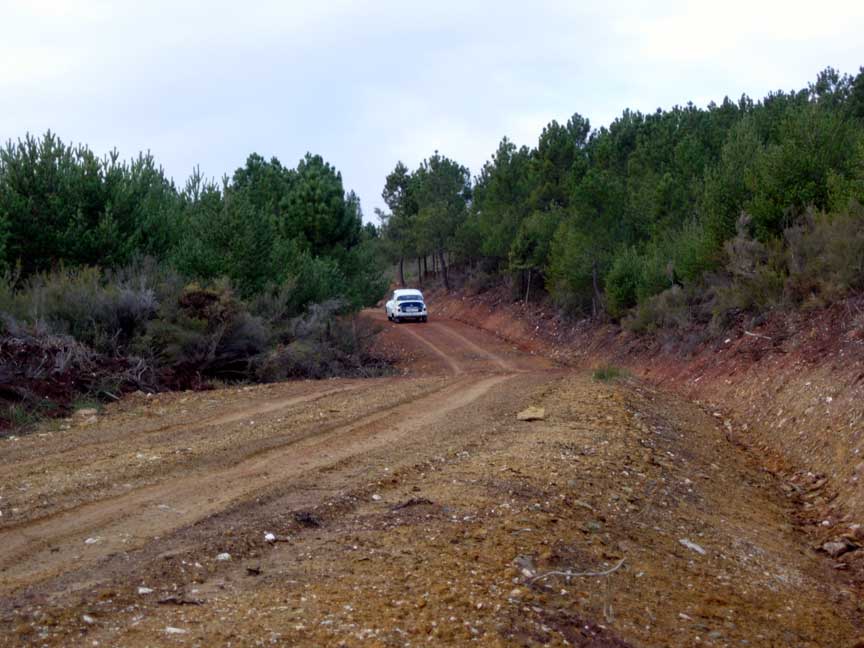 DSCN2307.jpg