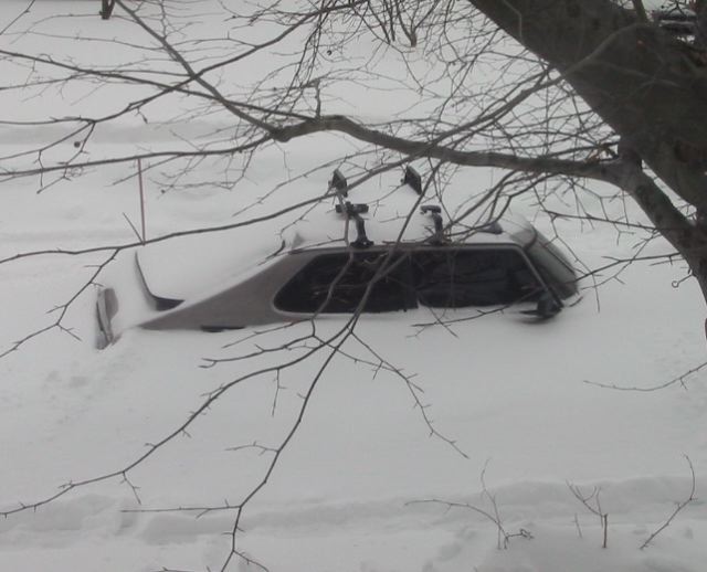 snowsaab-pp.JPG